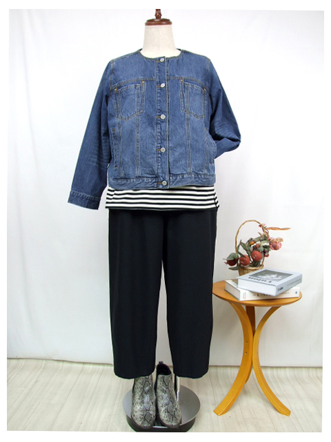 dja0285：ノーカラーデニムジャケット【ALDILA】｜エルクロース