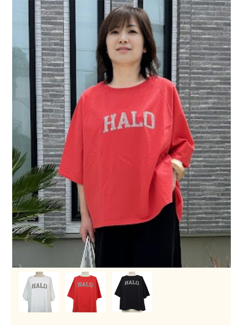 BIRDOG ラグランTシャツ　赤 BIRDOG ラグランTシャツ 赤